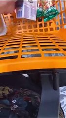 [EXPERIÊNCIAS] Case - Festa Junina Pag