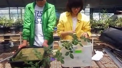 청양출장타이Ø7ØE5180E1620｛카톡XI74｝ぱ청양출장안@마ぱ청양출장샵ぱ청양출장맛사지 ぱ청양출장걸썰 청양출장걸가격 청양출장러시아 청양외국인후불출장업소 청양24시출장마사지샵'예약ёжз