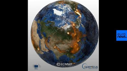 Video zeigt CO2-Belastung durch Feuer in Arktis und Kanada