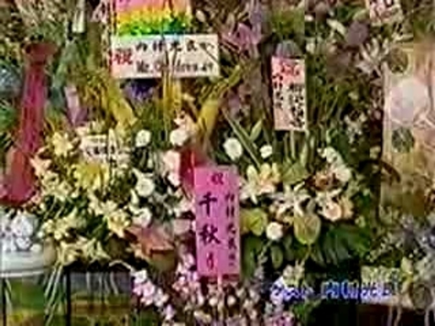 いいとも テレフォンショッキング 修正版 1 Video Dailymotion