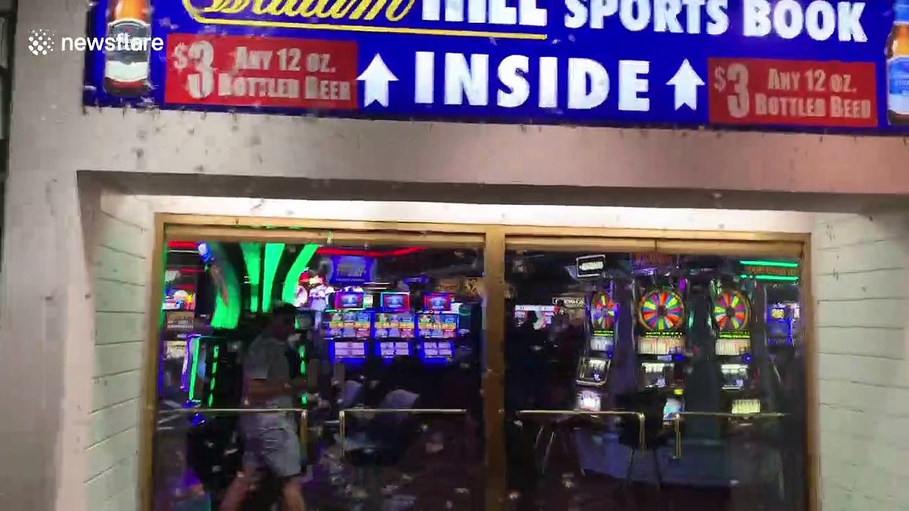 Enormous grasshoppers invade Las Vegas strip