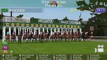 2019 GⅢアイビスサマーダッシュ レースシュミレーション