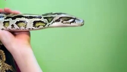 산청출장안마 -후불100%ョØ1ØA7685A6221｛카톡PP888｝ 산청전지역출장안마 산청오피걸 산청출장마사지 산청안마 산청출장마사지 산청콜걸샵ュユョ