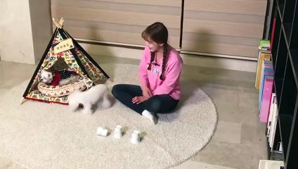 성주출장안마 -후불100%ョ OiOW2671W8135｛카톡ZHF526｝ 성주전지역출장안마 성주오피걸 성주출장마사지 성주안마 성주출장마사지 성주콜걸샵おかが