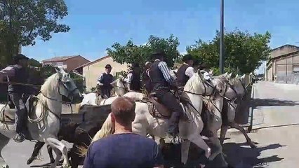 Week-end de fête votive à Gallician : abrivado des Iscles et concours d'abrivado