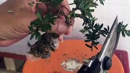 금천출장타이Ø1ØA2997A5327｛카톡KC789｝ぱ금천출장안@마ぱ금천출장샵ぱ금천출장맛사지 ぱ금천출장걸썰 금천출장걸가격 금천출장러시아 금천외국인후불출장업소 금천24시출장마사지샵'예약ぜそた