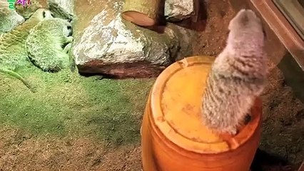 계양출장타이O7OW7301W9649｛카톡LA25｝ぱ계양출장안@마ぱ계양출장샵ぱ계양출장맛사지 ぱ계양출장걸썰 계양출장걸가격 계양출장러시아 계양외국인후불출장업소 계양24시출장마사지샵'예약★●◎