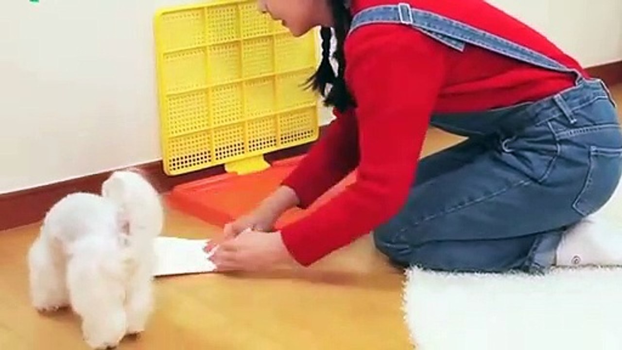 대덕출장안마 -후불100%ョO7OW7301W9649｛카톡MOK66} 대덕전지역출장안마 대덕오피걸 대덕출장마사지 대덕안마 대덕출장마사지 대덕콜걸샵ぬねの