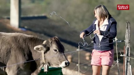 Avec Christelle Record - Parcours d'agriculteurs (27/07/2019)