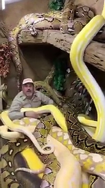 King of snakes Amazing Snake TV