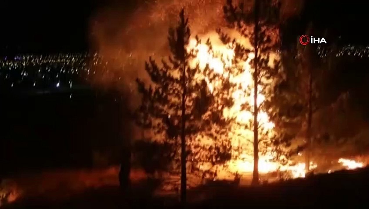 Dünya’nın en büyük Atatürk portresinin bulunduğu alanın yakınında çıkan yangın korkuttu
