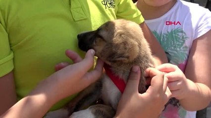 İZMİR MİNİK YÜREKLER SOKAK HAYVANLARI İÇİN STANT KURUP SATIŞ YAPTI