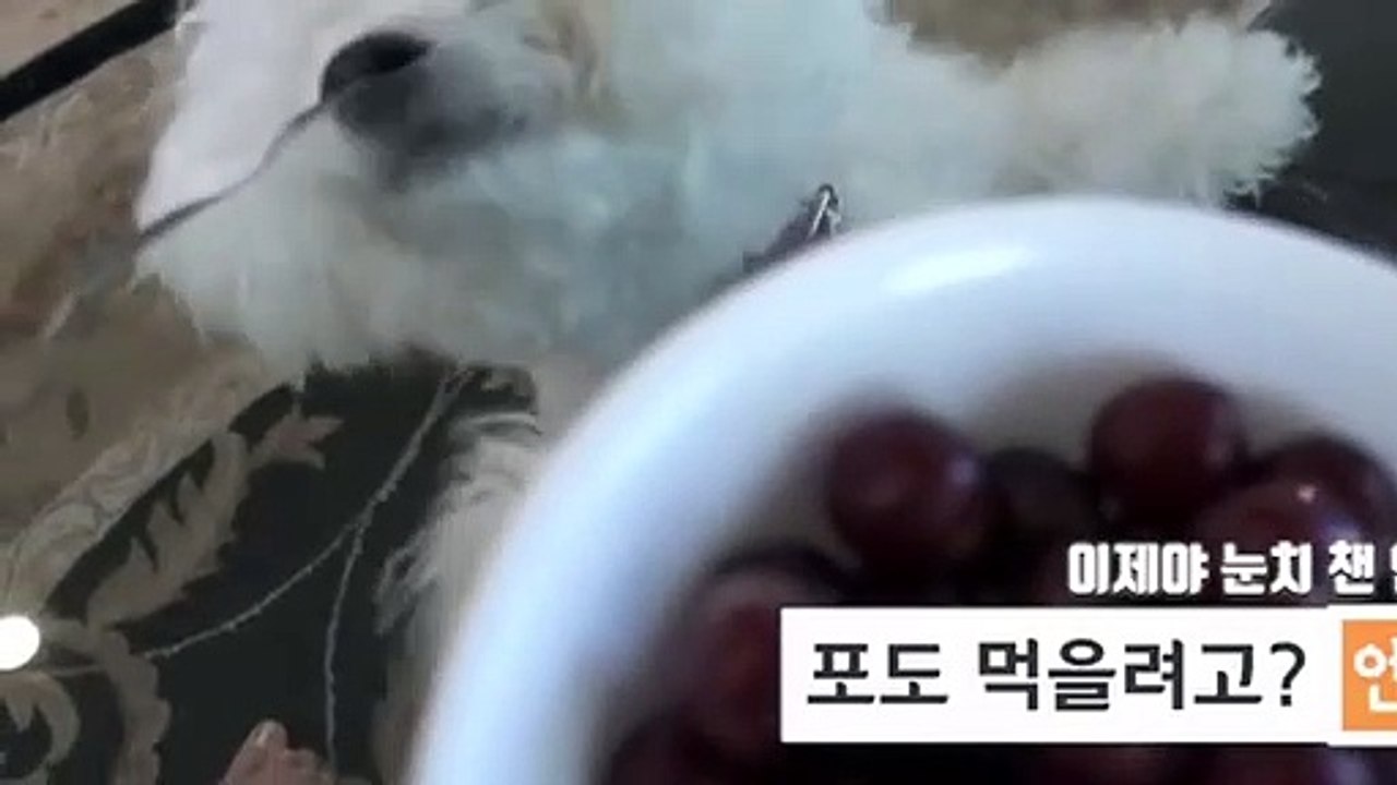 울진출장안마 -후불100%ョOiOc7685c6221｛카톡PP888｝ 울진전지역출장안마 울진오피걸 울진출장마사지 울진안마 울진출장마사지 울진콜걸샵⊙♤℉