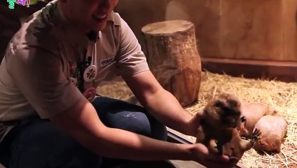 춘천출장타이 OiOW2671W8135｛카톡ZHF526｝ぱ춘천출장안@마ぱ춘천출장샵ぱ춘천출장맛사지 ぱ춘천출장걸썰 춘천출장걸가격 춘천출장러시아 춘천외국인후불출장업소 춘천24시출장마사지샵'예약фхц