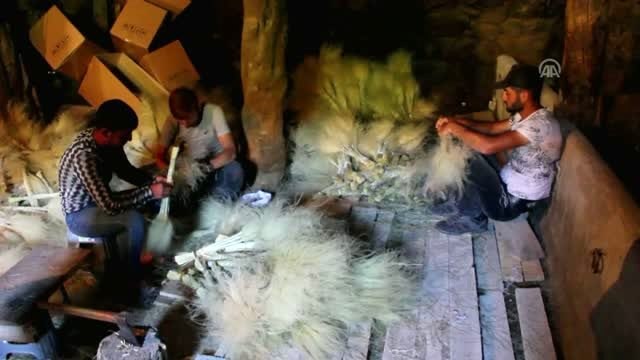 Tüylü kuşkonmazlar ilçe sakinlerine kazanç kapısı oldu - SİVAS