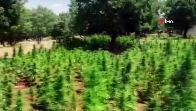 Diyarbakır’da PKK terör örgütünün finans kaynağına dev operasyon