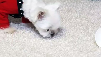 오산출장안마 -후불100%ョ 070c5180c1617｛카톡MAS91｝ 오산전지역출장안마 오산오피걸 오산출장마사지 오산안마 오산출장마사지 오산콜걸샵タダチ