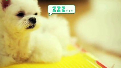 영주출장안마 -후불100%ョO7Os7301s9649｛카톡ZF66｝ 영주전지역출장안마 영주오피걸 영주출장마사지 영주안마 영주출장마사지 영주콜걸샵опр