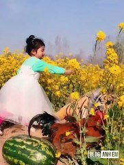 Viral Videos million view and muddy moments #2019  you should see p125