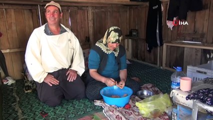 TAB Başkanı Ziya Şahin: “Bal üreticisi korunmalı”