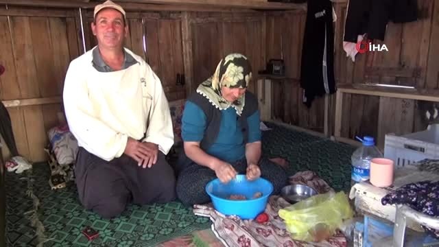 TAB Başkanı Ziya Şahin: Bal üreticisi korunmalı