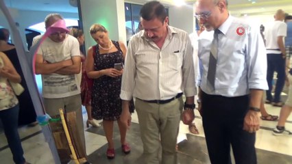 Muz ağaçlarını daha önce hiç bu şekilde görmediniz