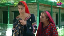 Deedan - Episode 6 | Aplus Dramas | Sanam Saeed, Mohib Mirza, Ajab Gul, Rasheed Naz, Minsa Malik