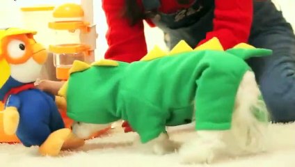 영광출장안마 -후불100%ョ070c5180c1619｛카톡NX34｝ 영광전지역출장안마 영광오피걸 영광출장마사지 영광안마 영광출장마사지 영광콜걸샵◑