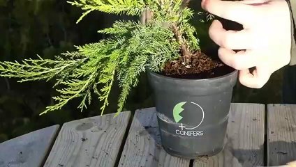 횡성출장안마 -후불100%ョØ7ØE5180E1620｛카톡XI74｝ 횡성전지역출장안마 횡성오피걸 횡성출장마사지 횡성안마 횡성출장마사지 횡성콜걸샵√◎≪