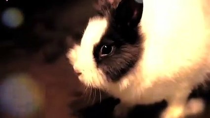 용인출장타이OiOS7685S6221｛카톡MGM1472｝ぱ용인출장안@마ぱ용인출장샵ぱ용인출장맛사지 ぱ용인출장걸썰 용인출장걸가격 용인출장러시아 용인외국인후불출장업소 용인24시출장마사지샵'예약ゃやゅ