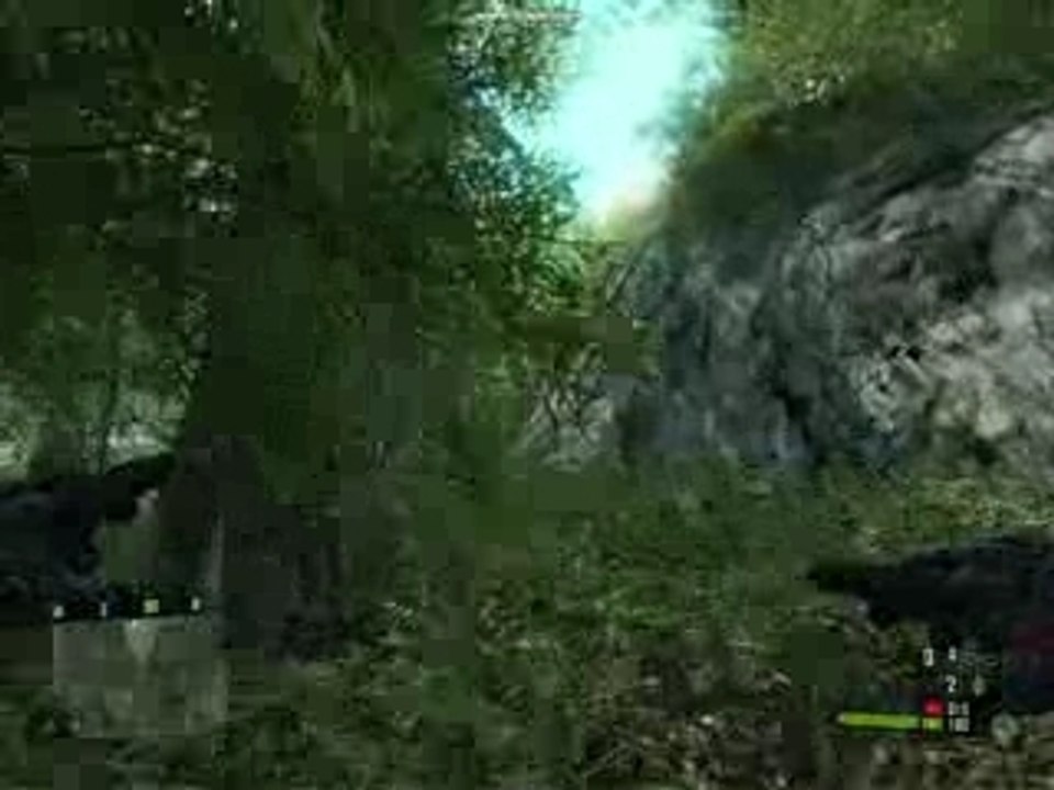 Crysis 8800 GT 1Go Max