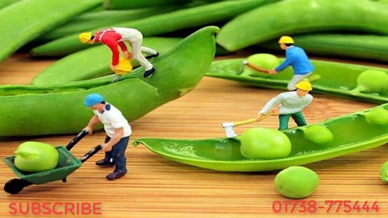Awesome Miniature Art