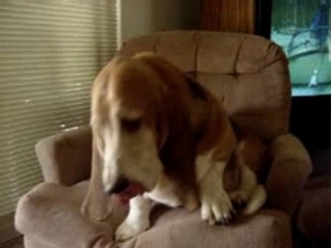 Hoover and Dolly Memories!