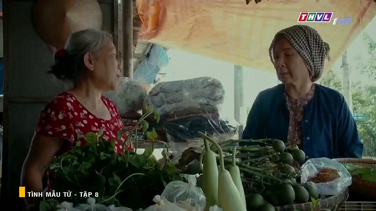 Tình Mẫu Tử Tập 8 - Phim Việt Nam THVL1 2019