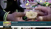Bolivia: preocupa modificación genética de la quinua en el extranjero