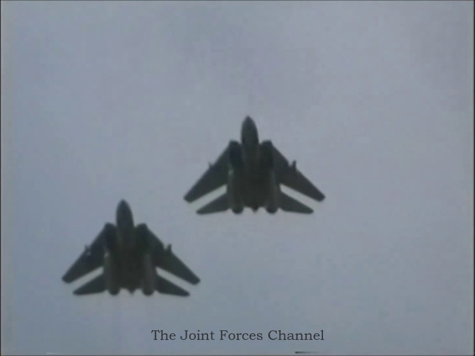The Exercise Maple Leaf 99, F-14, F-15, F-16, F-18 In Action