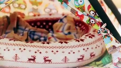 해운대출장안마 -후불100%ョOiOc7362c3210｛카톡BB5858｝ 해운대전지역출장안마 해운대오피걸 해운대출장마사지 해운대안마 해운대출장마사지 해운대콜걸샵‡♭