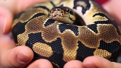 중랑출장타이OiOE7362E3210｛카톡VR91｝ぱ중랑출장안@마ぱ중랑출장샵ぱ중랑출장맛사지 ぱ중랑출장걸썰 중랑출장걸가격 중랑출장러시아 중랑외국인후불출장업소 중랑24시출장마사지샵'예약∠⊥≤