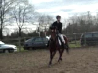 tout le monde au galop sur la détente