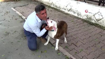 Hayvanseverler '5199 sayılı Hayvanları Koruma Kanunu'nun değişmesini istiyor