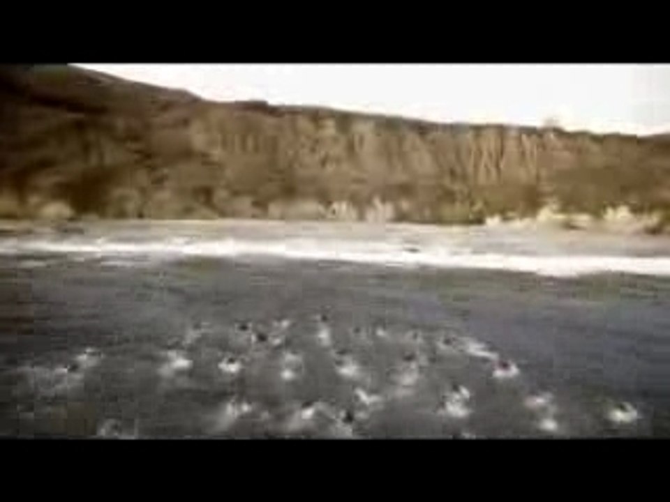 Publicité Axe la plage