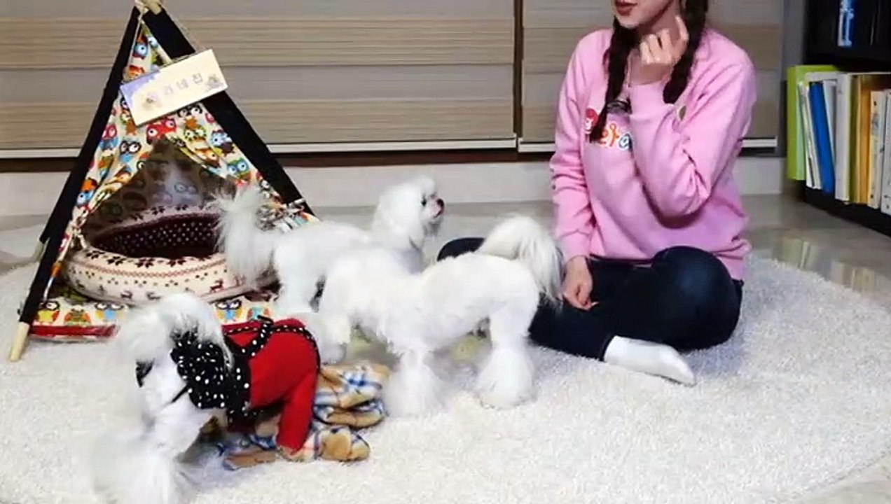 부천출장안마 -후불100%ョØ7ØA7575A0062｛카톡DDR88｝ 부천전지역출장안마 부천오피걸 부천출장마사지 부천안마 부천출장마사지 부천콜걸샵♪⇔∃