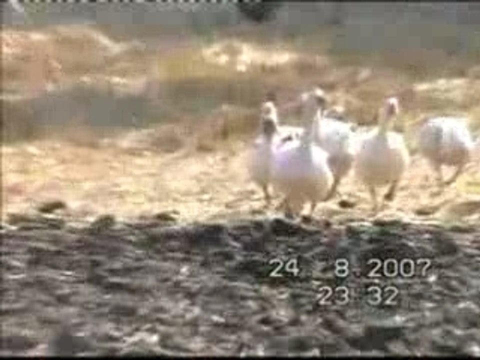 Suludere köyü (benim koyüm)