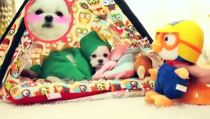 서귀포출장안마 -후불100%ョØ7ØE5180E1620｛카톡XI74｝ 서귀포전지역출장안마 서귀포오피걸 서귀포출장마사지 서귀포안마 서귀포출장마사지 서귀포콜걸샵♪⇔∃