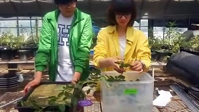 나주출장안마 -후불100%ョ 070c7575c0040｛카톡EM85｝ 나주전지역출장안마 나주오피걸 나주출장마사지 나주안마 나주출장마사지 나주콜걸샵Å∑