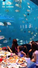 Viral Videos million view and muddy moments #2019  you should see p56