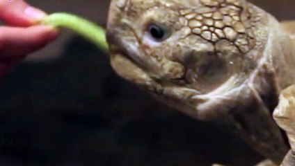 송파출장타이O7OS7575S0069｛카톡RD654｝ぱ송파출장안@마ぱ송파출장샵ぱ송파출장맛사지 ぱ송파출장걸썰 송파출장걸가격 송파출장러시아 송파외국인후불출장업소 송파24시출장마사지샵'예약ゆょら