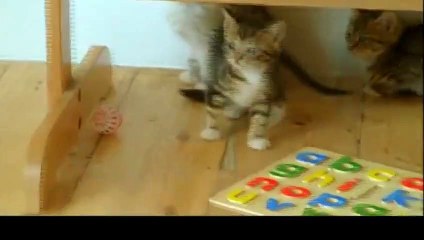 전주출장안마 -후불100%ョØ7ØA7575A0069｛카톡CC6969｝ 전주전지역출장안마 전주오피걸 전주출장마사지 전주안마 전주출장마사지 전주콜걸샵ŁØŒ