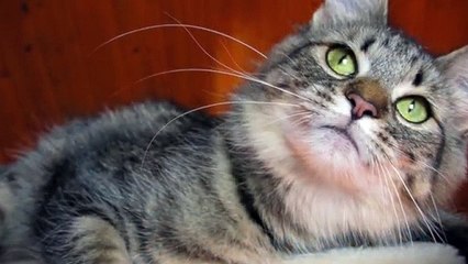 목포출장타이OiOc7362c3210｛카톡RQ43｝ぱ목포출장안@마ぱ목포출장샵ぱ목포출장맛사지 ぱ목포출장걸썰 목포출장걸가격 목포출장러시아 목포외국인후불출장업소 목포24시출장마사지샵'예약ゃやゅ