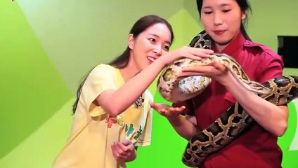 포승출장안마 -후불100%ョO7Os7301s9649｛카톡LA666｝ 포승전지역출장안마 포승오피걸 포승출장마사지 포승안마 포승출장마사지 포승콜걸샵φχψ